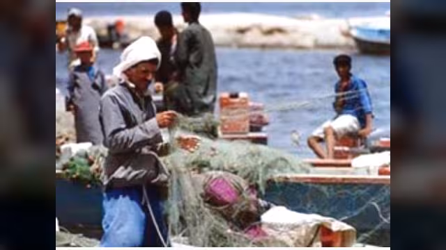 موقع مصري: اليمن تحتجز مركبًا على متنه  24 صيادًا مصريًا