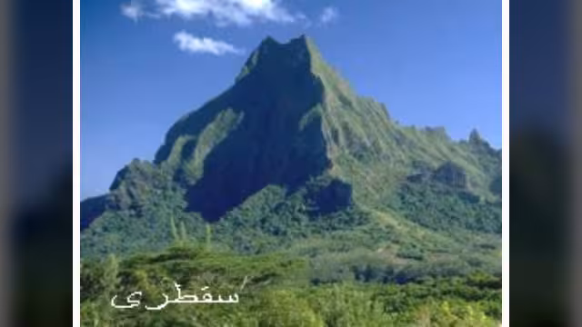 أكاديمي إسرائيلي: التابوت في جزيرتي ميون أو سقطرى