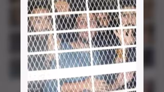 حقوقيون يشككون بنزاهة إجراءات محاكمة 16 متهماً بالانتماء للقاعدة في اليمن
