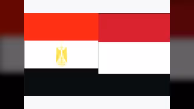 السفير المصري : ما نشرته الاهرام عن اليمن اجتهاد لا يعكس موقف مصر