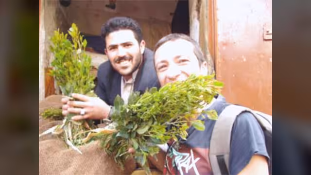 اليمن: القات طريق  إلى الموت المبكر