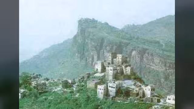 منع زراعة القات في المحويت