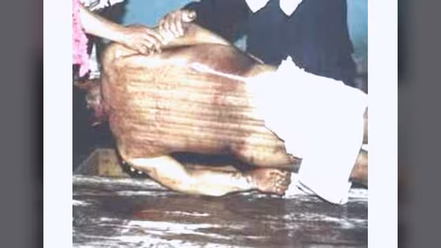 لكي لا ننسى ما يجري في العراق الحُر!