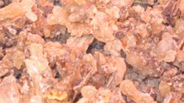 اللبان اليمنى يستخدم في صناعة العطور