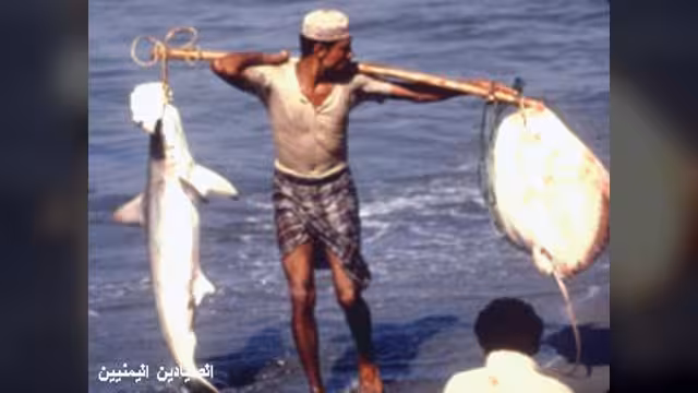 اليمن: القراصنة الصوماليون يهددون حياة الصيادين وسبل عيشهم
