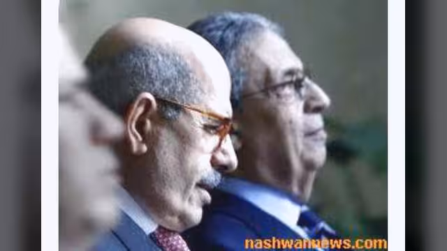 تحفظات على البرادعي وموسى قد يكون قائد المرحله الانتقالية
