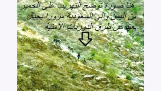 سوق الرقو في صعدة.. بوابة دخول السلاح إلى السعودية (تحقيق)