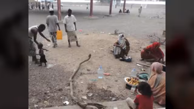 ست منظمات حقوقية تحذر من كارثة إنسانية في أبين جراء قطع الخدمات