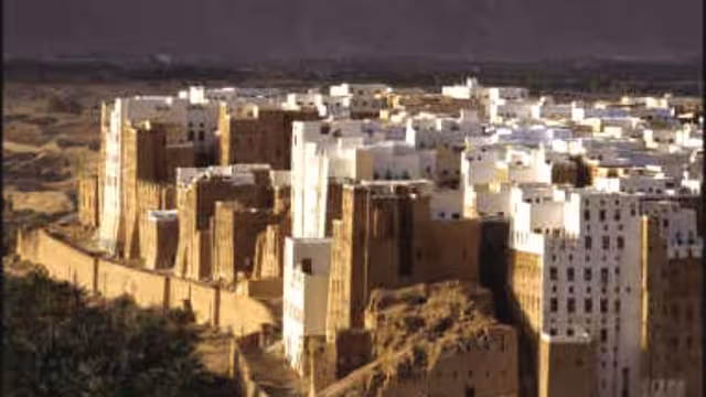 حضرموت: رحلة أمّ التناقضات نحو بنغازي ليبيا