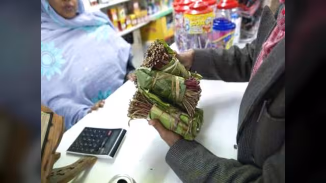 حظر "القات" في بريطانيا... رفض المهاجرين وإصرار الحكومة