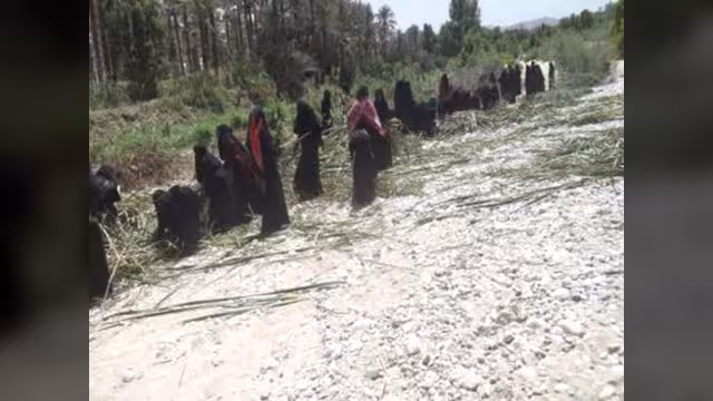 اليمن يتحصّن بالزراعة لمواجهة أزمته الغذائية