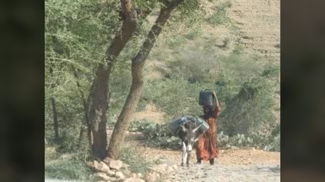 سميرة.. رفيقة الدلو والأمية في اليمن
