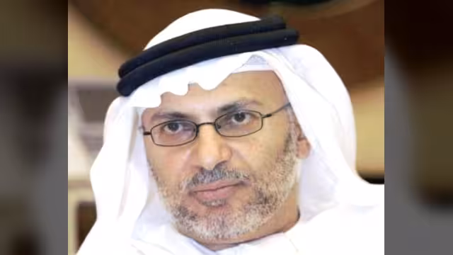 مسؤول إماراتي: أمن الخليج على المحك وحياد تركيا وباكستان خطير