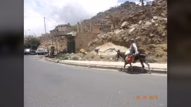 الحمير بدل السيارات في اليمن