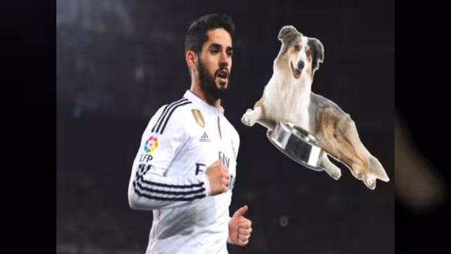 إيسكو يهاجم الحكم المصري الغندور ويسمي كلبه "ميسي"!
