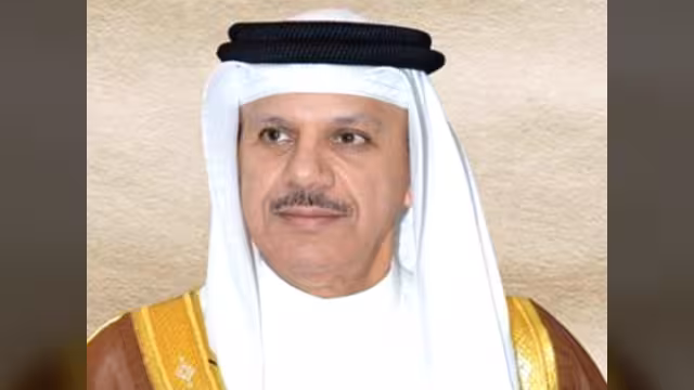 الزياني يشيد بقرار إنشاء لجنة للتحقيق بانتهاكات اليمن