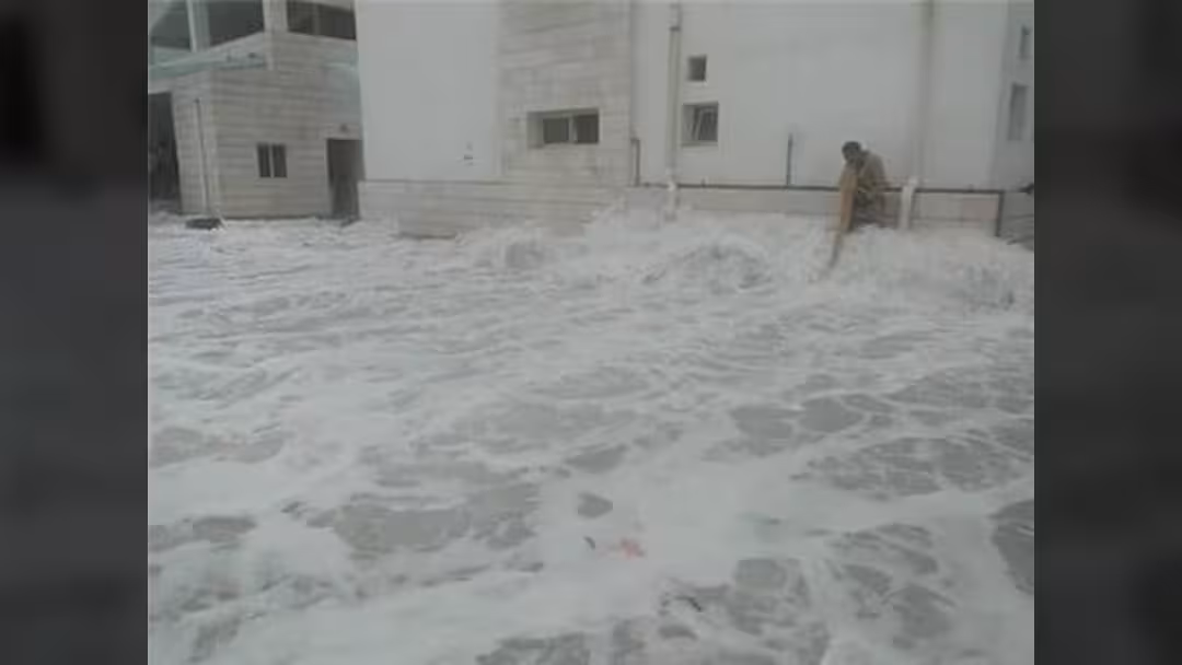 بحاح في قمة المناخ: أنقذوا سقطرى