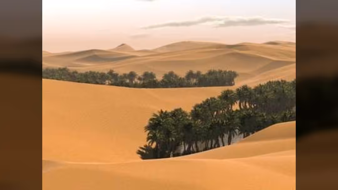 الأرصاد: أجواء صحوة وغائمة على المناطق الجبلية والساحلية والصحراوية