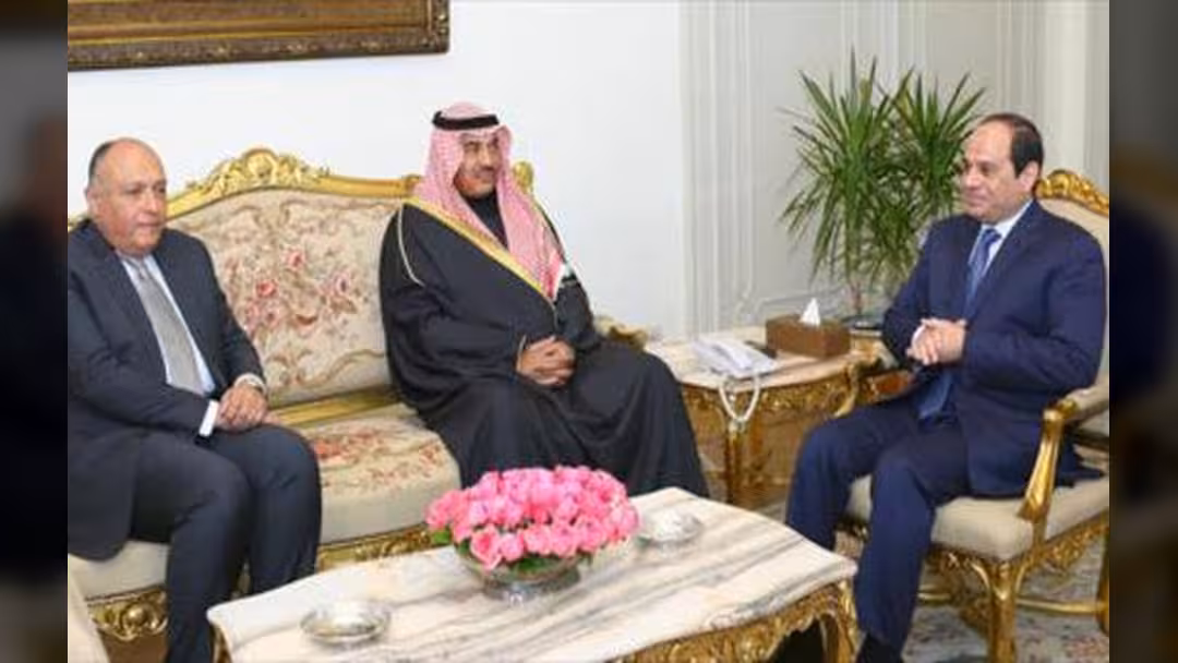 وزير الخارجية المصري: قرار السعودية بالتدخل البري في سوريا "منفرد‎"