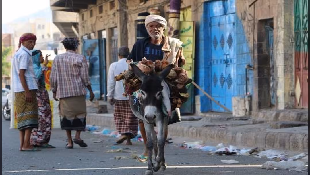 نازحون محاصرون في تعز
