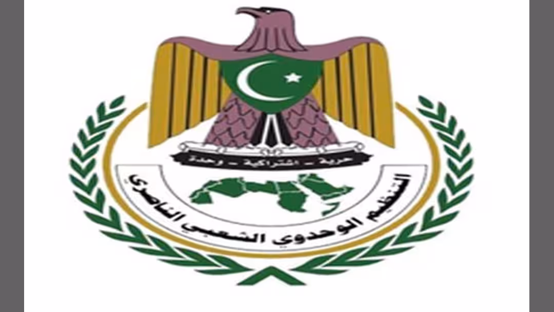 الناصري يدين اختطاف المدير المالي لصحيفة الوحدوي ويحمل الحوثيين المسؤولية