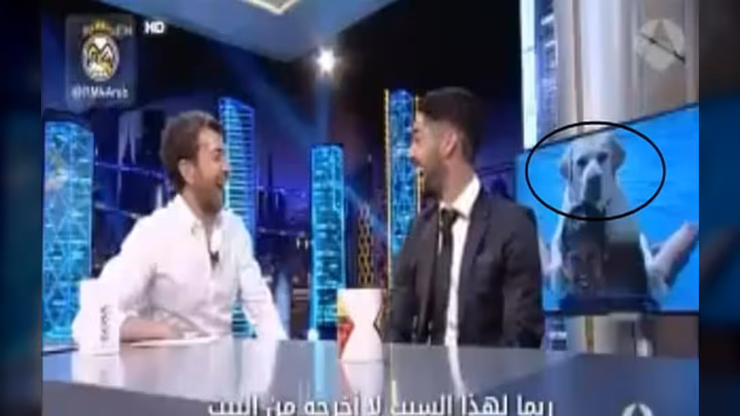 بالفيديو.. عشاق برشلونة غاضبون من إيسكو بسبب كلبه "ميسي"
