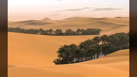 الأرصاد يحذر من موجة غبار واسعة الانتشار