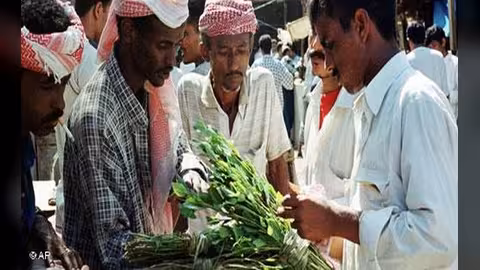 قرار تاريخي لأربعة محافظين يعيد السماح ببيع القات في عدن