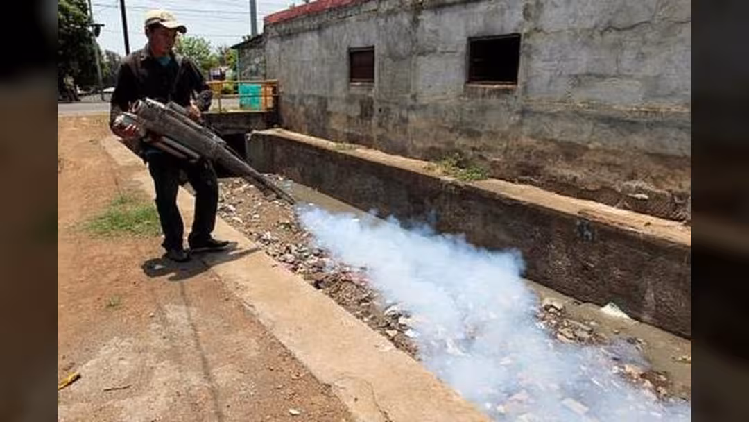 لقاح لفيروس زيكا يوفر حماية بنسبة 100 بالمئة في تجارب على فئران