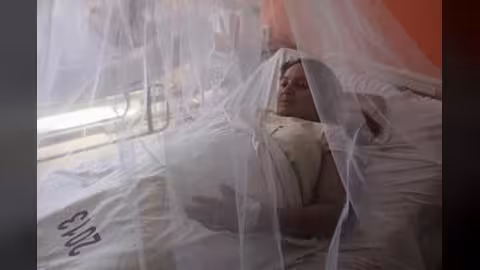 ولادة جنين بعد 55 يوما من وفاة والدته