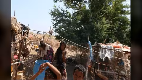 خور عميرة في لحج.. معاناة في سبيل الحفاظ البقاء