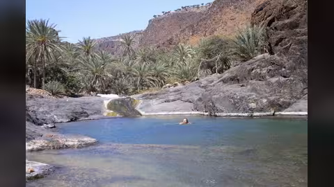 سقطرى ضمن أهم المواقع البحرية العالمية النادرة