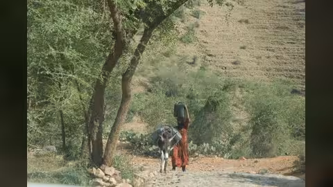 وزير الزراعة يبحث مع "الفاو" تنشيط مشروع القدرة على الصمود في الريف اليمني
