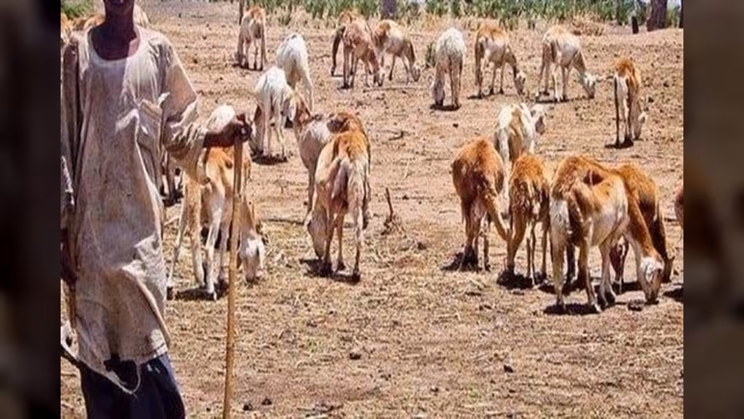 السودان: مقتل العشرات حرقاً في نزاع بين قبيلتين