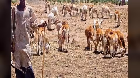 السودان: مقتل العشرات حرقاً في نزاع بين قبيلتين