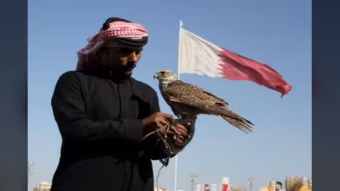 الإفراج عن المخطوفين القطريين في العراق