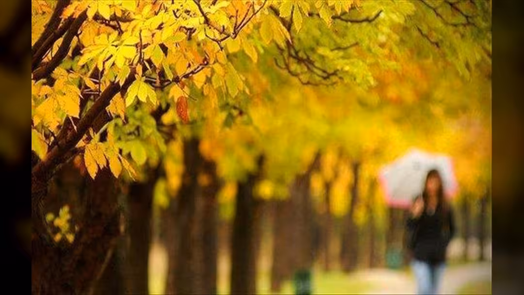 دراسة: رياضة التأمل تحسن الصحة العقلية والجسدية