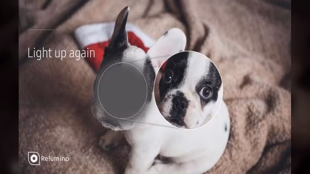 تطبيق من سامسونغ لمساعدة ضعاف البصر.. فيديو