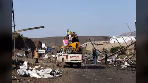 في صنعاء... لم تنج الأشجار والمساحات الخضراء من الحرب