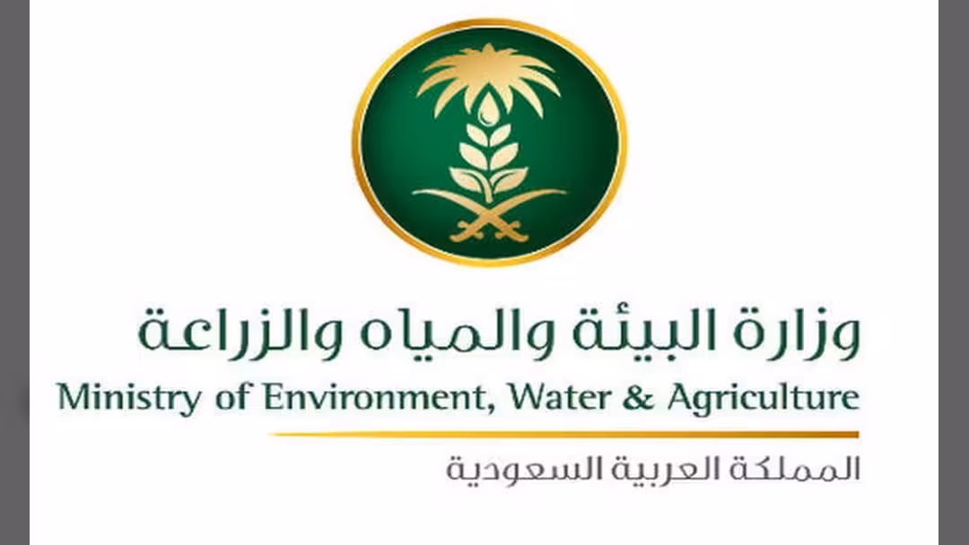 السعودية: 7 مصابين جدد بإنفلونزا الطيور في الرياض والتخلص من 6500 طائر بجدة