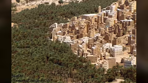 وكيل محافظة حضرموت يوجه بوقف صرف الأراضي بمديرية العبر