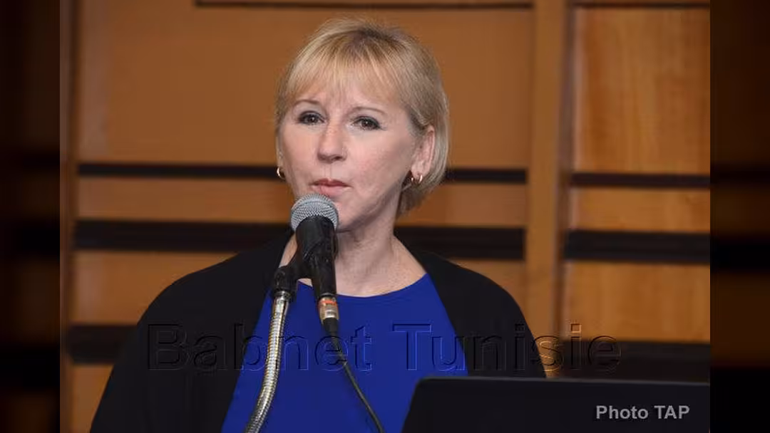 السويد تبدي استعدادها لاستضافة محادثات سلام بين الأطراف اليمنية