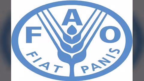 منظمة: أسعار الغذاء العالمية تنخفض لأدنى مستوى في أكثر من عامين