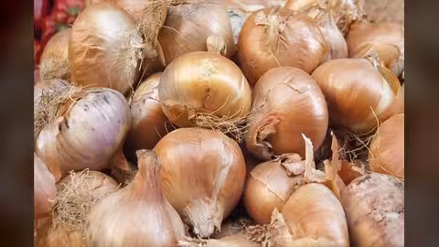خضروات تكافح سرطان القولون والمستقيم.. تعرف عليها