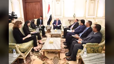 هذا ما خرجت به لقاءات ديكارلو مع هادي بشأن أزمة غريفيث