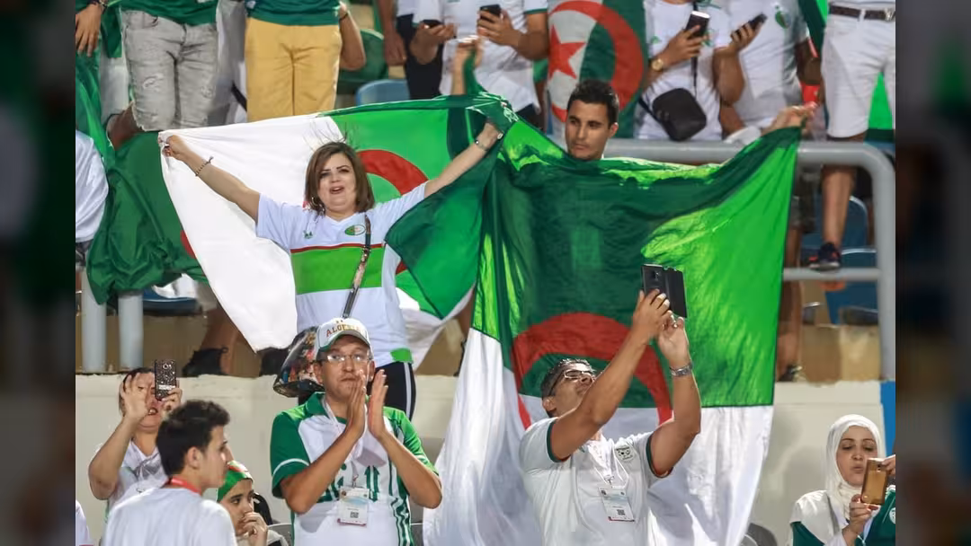 تحديد المداخل والمواعيد.. تعليمات هامة لجماهير مباراة الجزائر والسنغال في القاهرة