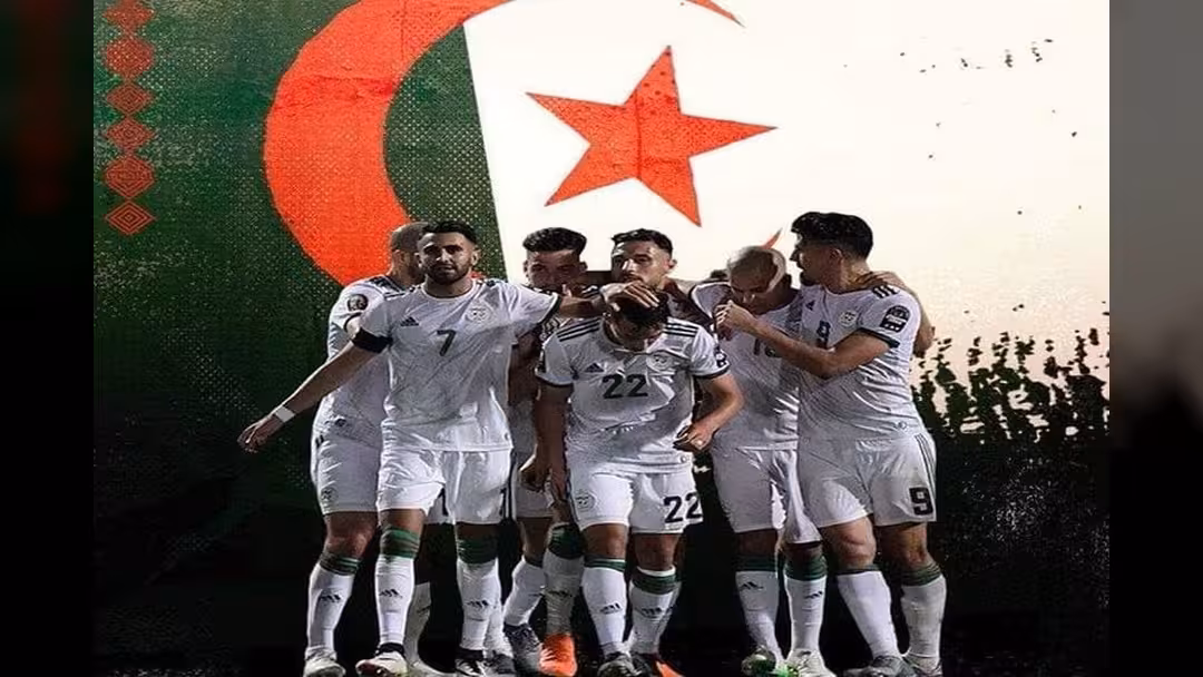 شاهد المباراة النهائية لبطولة أمم أفريقيا بين الجزائر والسنغال.. بث مباشر