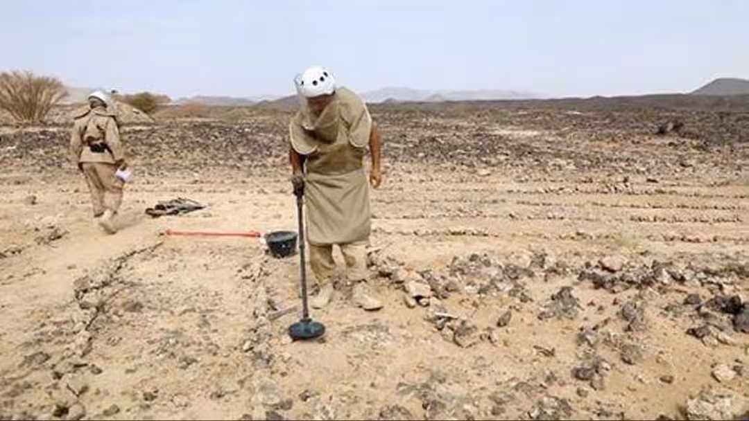 ألغام وعبوات الحوثيين الأرضية: انتزاع أكثر من 1531 خلال أسبوع