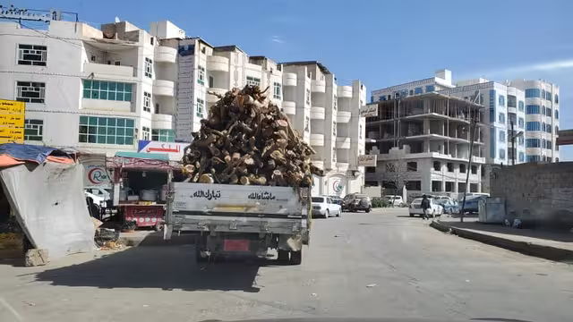 كيف أثرت الحرب في اليمن على الغطاء النباتي والتنوع الحيوي؟