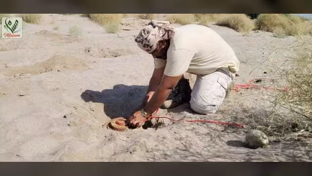 نازعو الألغام لا يعرفون إجازة العيد: مسام ينزع 998 في أسبوع